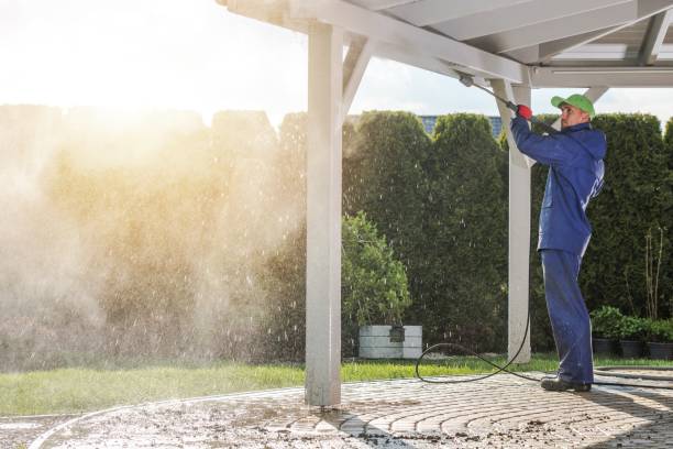 Best Soft Washing  in Norton, KS